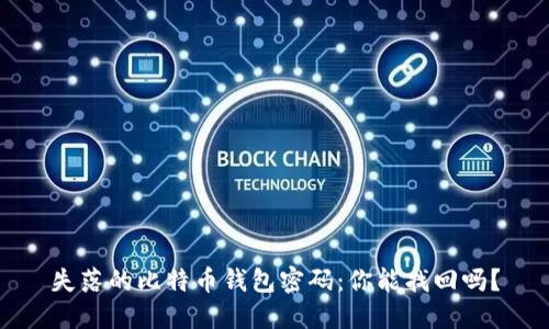 失落的比特币钱包密码：你能找回吗？