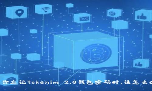 当你忘记Tokenim 2.0钱包密码时，该怎么办？