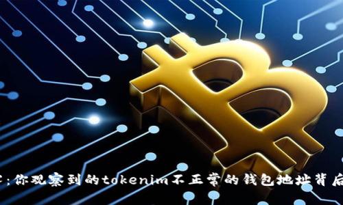 破解钱包迷雾：你观察到的tokenim不正常的钱包地址背后隐藏着什么？
