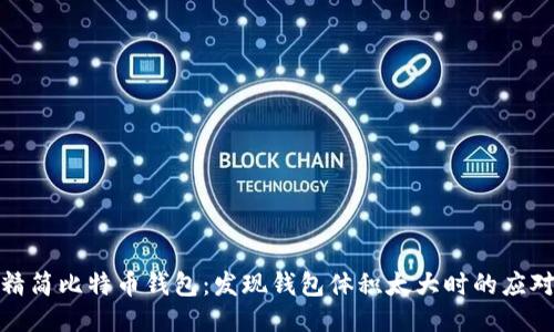 如何精简比特币钱包：发现钱包体积太大时的应对策略