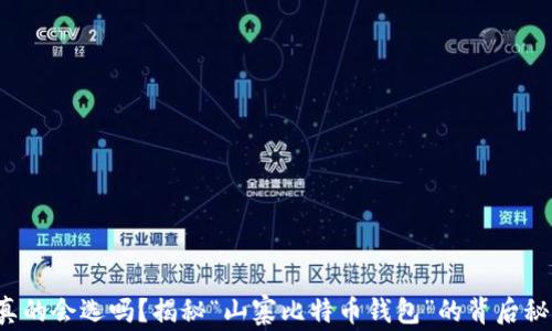 
你真的会选吗？揭秘“山寨比特币钱包”的背后秘密！
