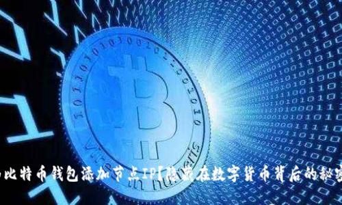 如何轻松为比特币钱包添加节点IP？隐藏在数字货币背后的秘密你知道吗？