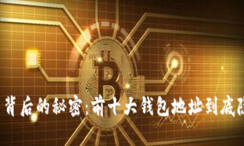 揭开比特币背后的秘密：前十大钱包地址到底隐藏了什么？