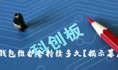 USDT钱包维护会持续多久？揭示幕后真相