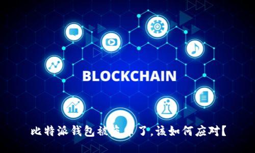 比特派钱包被盗币了，该如何应对？