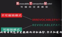 揭开比特币钱包历史数据的神秘面纱：你不知道