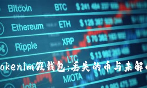 钓鱼Tokenim假钱包：丢失的币与未解的谜团