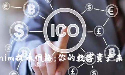 揭秘Tokenim提币网络：你的数字资产未来在何方？