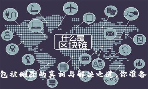 Tokenim 2.0：钱包被删除的真相与解决之道，你准备好面对挑战了吗？