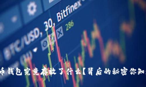 比特币钱包究竟存放了什么？背后的秘密你知道吗？
