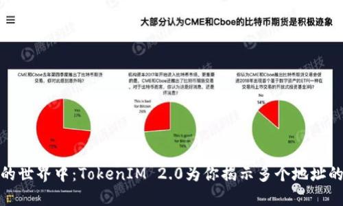 在以太坊的世界中：TokenIM 2.0为你揭示多个地址的神秘面纱
