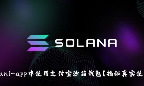 如何在uni-app中使用支付宝沙箱钱包？揭秘真实使用体验！