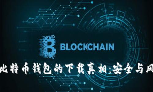 揭秘山寨比特币钱包的下载真相：安全与风险的博弈