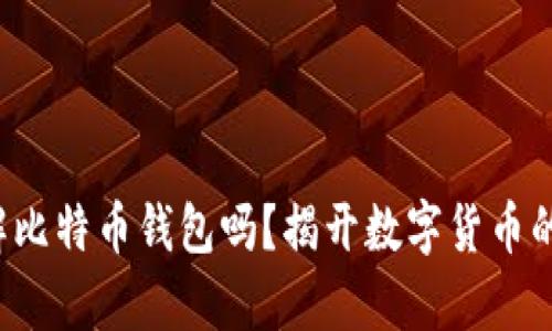 你真的了解比特币钱包吗？揭开数字货币的神秘面纱！