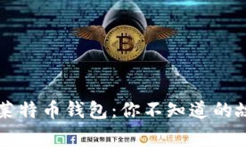 揭秘比特币与莱特币钱包：你不知道的故事与未来展望