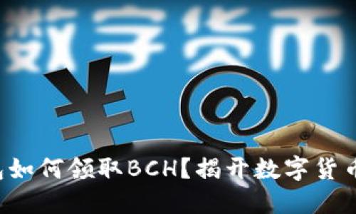 比特币钱包如何领取BCH？揭开数字货币的新秘密！