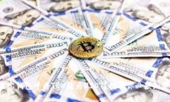 如何在波宝钱包中将TRX转为USDT？揭示你必须知道