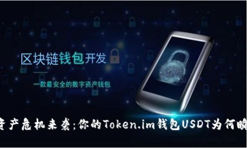 当数字资产危机来袭：你的Token.im钱包USDT为何瞬间被盗？