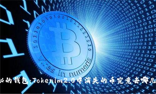 神秘的钱包：Tokenim2.0中消失的币究竟去哪儿了？