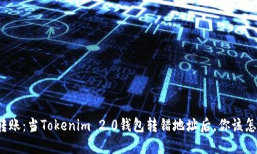 意外转账：当Tokenim 2.0钱包转错地址后，你该怎么办？