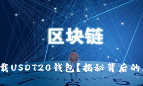 如何安全下载USDT20钱包？揭秘背后的风险与选择！