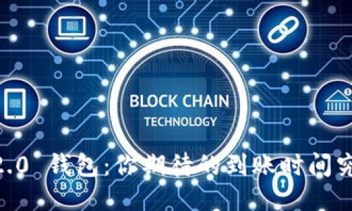 Tokenim 2.0 钱包：你期待的到账时间究竟是多久？