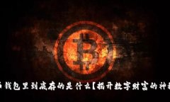 推荐比特币钱包里到底存的是什么？揭开数字财