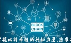 TP钱包：掌握比特币链的神秘力量，您准备好了吗