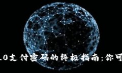 找回Tokenim 2.0支付密码的终极指南：你可能不知道