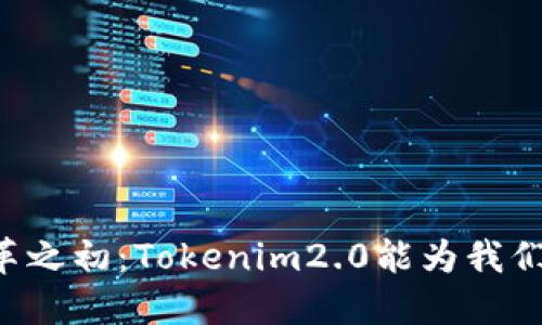 交易所变革之初：Tokenim2.0能为我们带来什么？