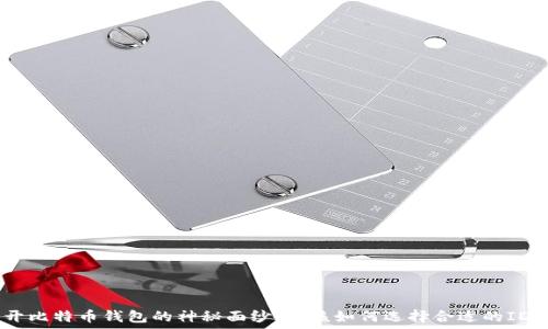   
b揭开比特币钱包的神秘面纱：你该如何选择合适的IDAPP？