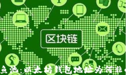 
揭秘鱼池：以太坊钱包地址为何非小写？