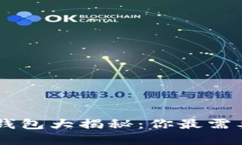 推荐的USDT钱包大揭秘：你最需要了解的秘密