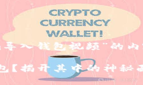 下面是一个关于“tokenim导入钱包视频”的内容架构和相应的与关键词。

如何轻松导入Tokenim钱包？揭开其中的神秘面纱！