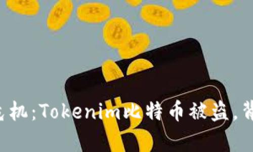 当代数字财富的危机：Tokenim比特币被盗，背后究竟藏着什么？
