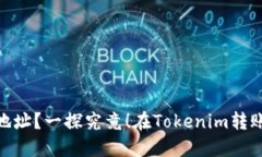 在Tokenim转账时，为什么会出现第二个地址？一探