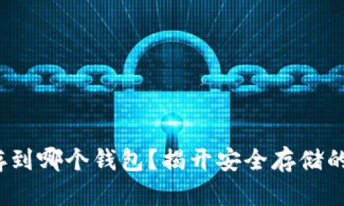 XLM存到哪个钱包？揭开安全存储的秘密！