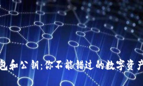 以太坊钱包和公钥：你不能错过的数字资产安全之道