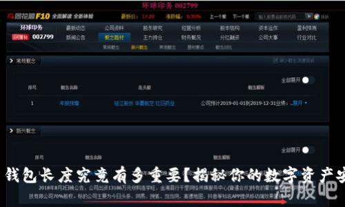 : 比特币钱包长度究竟有多重要？揭秘你的数字资产安全之道！