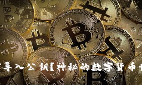 比特币钱包如何导入公钥？神秘的数字货币世界，等待被探索