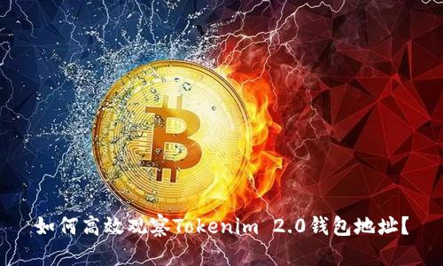 如何高效观察Tokenim 2.0钱包地址？