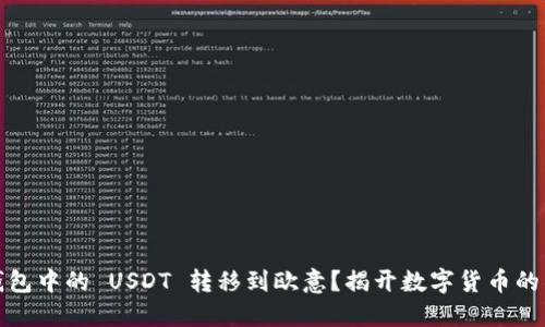 如何将钱包中的 USDT 转移到欧意？揭开数字货币的神秘面纱
