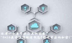 思考一个易于大众且的优质  “SHIB是否值得放进