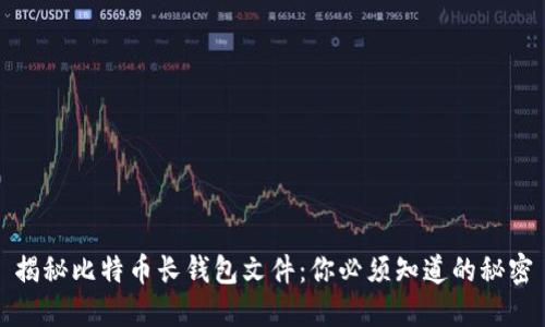 揭秘比特币长钱包文件：你必须知道的秘密