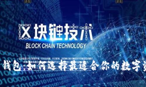 比特时代狗币钱包：如何选择最适合你的数字资产保护工具？