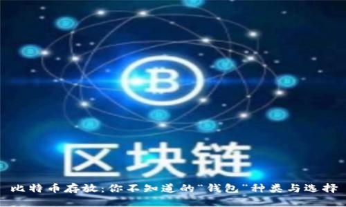 比特币存放：你不知道的“钱包”种类与选择
