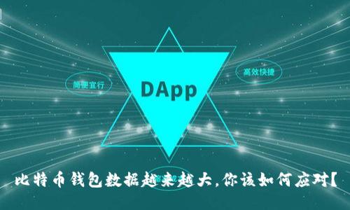 比特币钱包数据越来越大，你该如何应对？