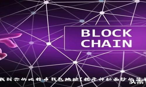 如何找到你的比特币钱包地址？揭开神秘面纱的简单指南