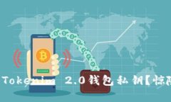如何安全导入Tokenim 2.0钱包私钥？惊险与机遇并存