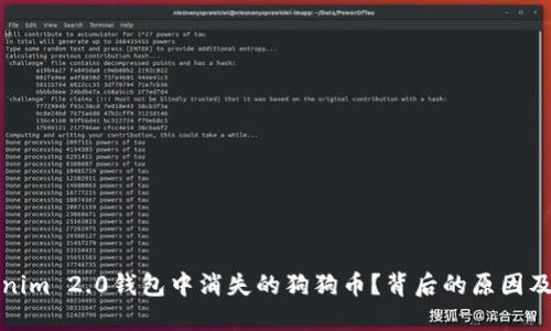 如何解决Tokenim 2.0钱包中消失的狗狗币？背后的原因及解决方案揭秘